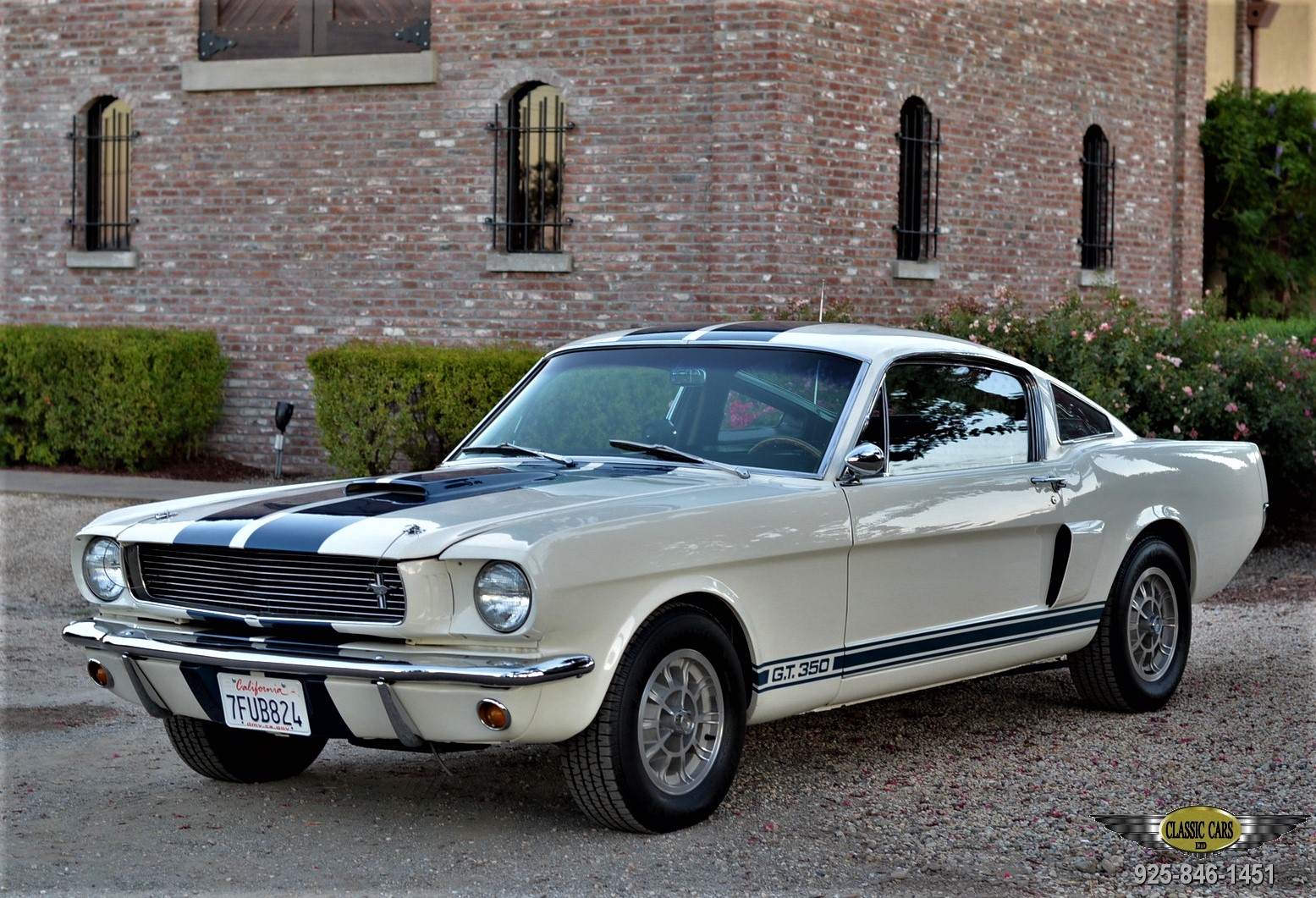White Shelby G.T. 350 classic car