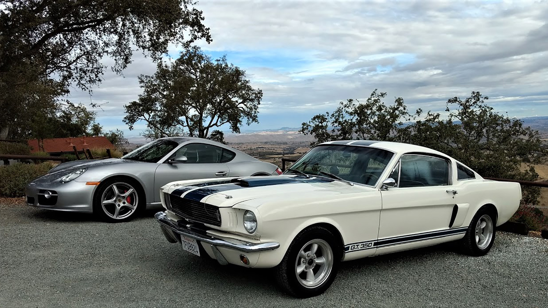 White Ford Mustang Shelby GT350 and Silver Porsche classic cars